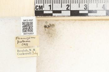 Media type: image;   Entomology 775937 Aspect: Labels